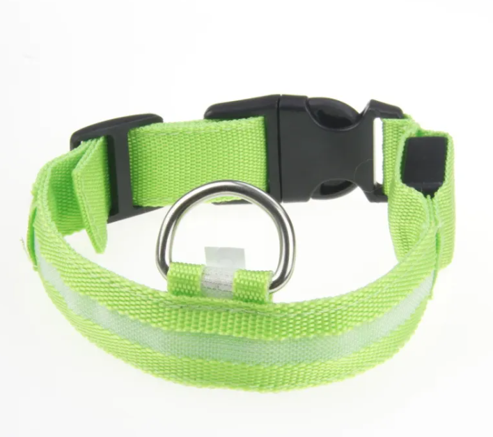 LED Collar