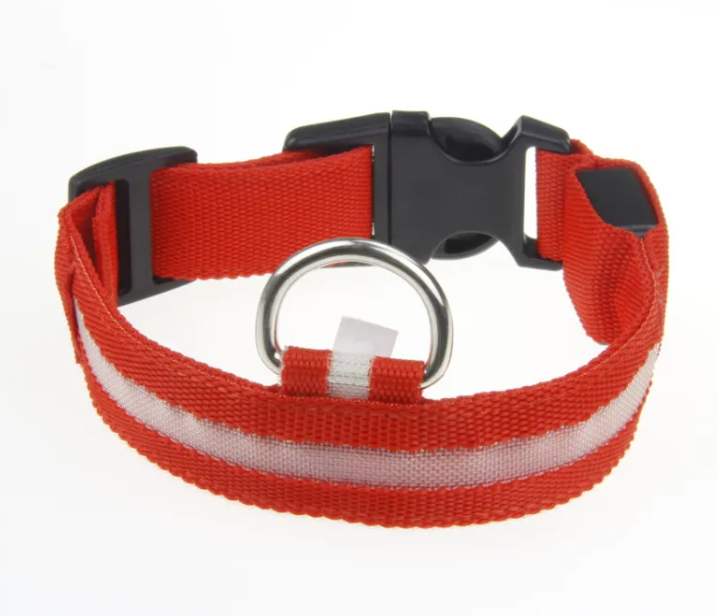 LED Collar
