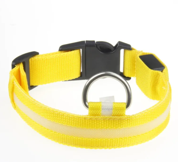 LED Collar