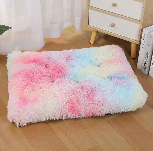 Cloud Nest