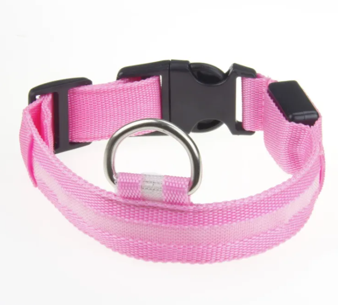 LED Collar