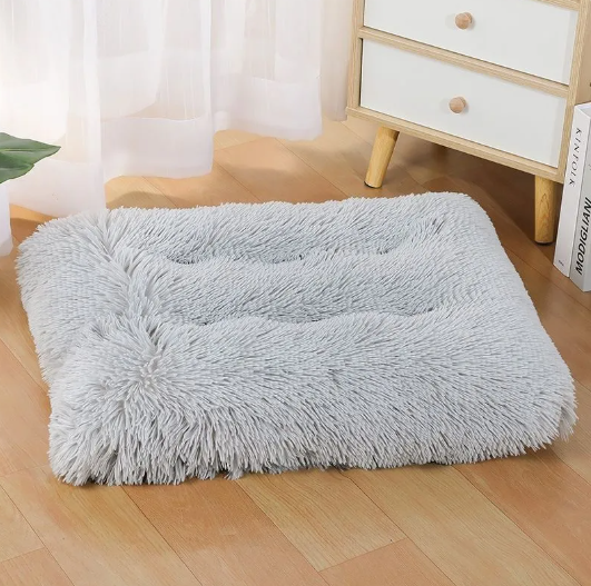 Cloud Nest