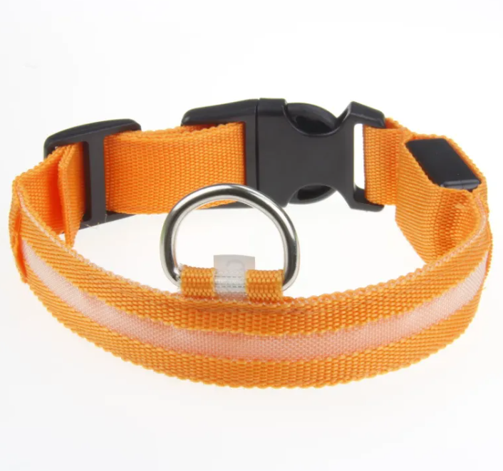 LED Collar
