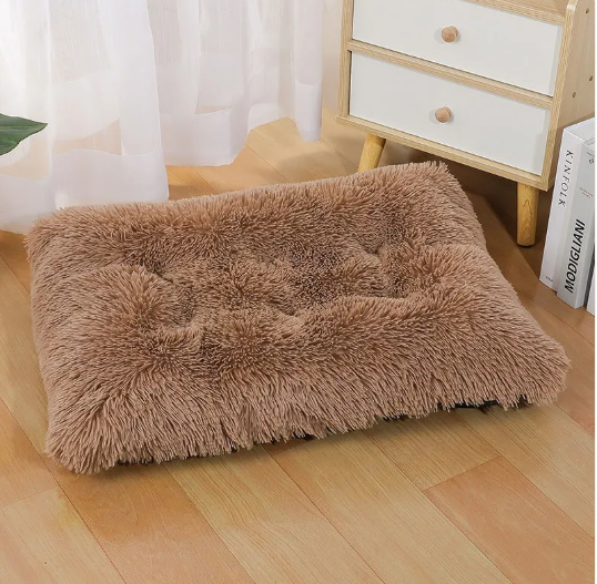 Cloud Nest