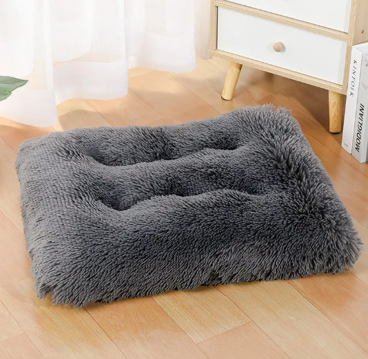 Cloud Nest