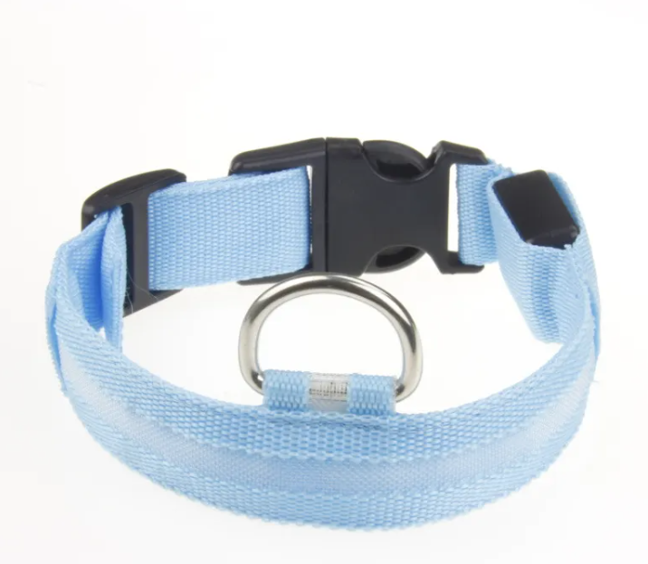 LED Collar