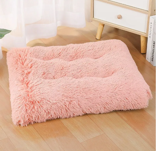 Cloud Nest